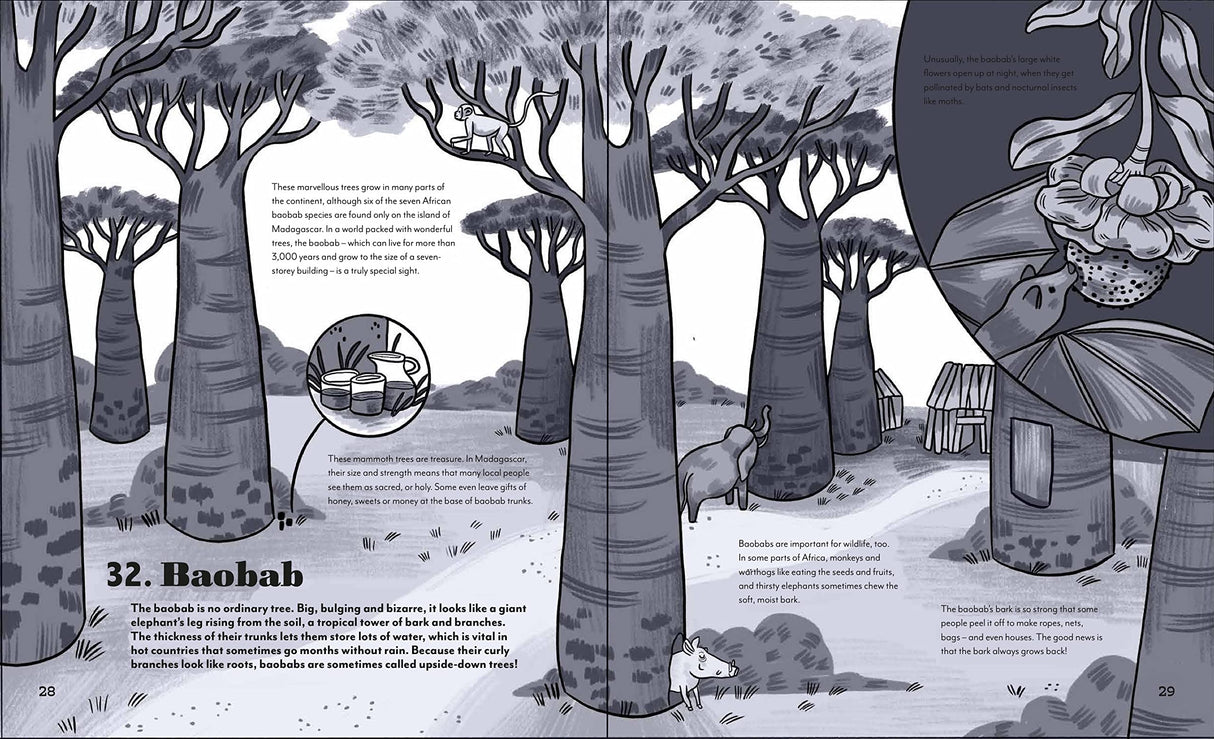 Around the World in 80 Trees showing illustrated Baobab trees with detailed descriptions in a black-and-white spread.
