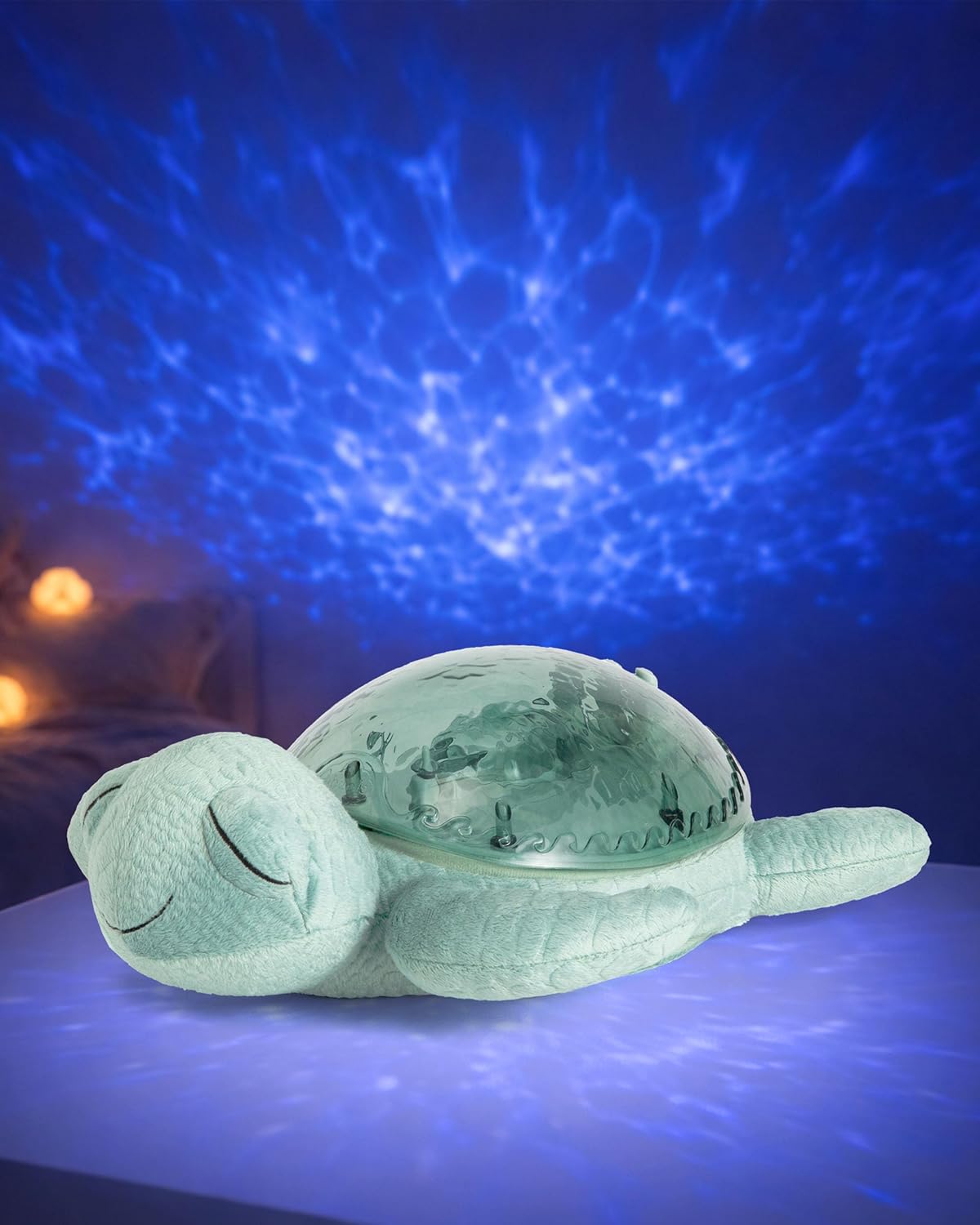 Tranquil Turtle