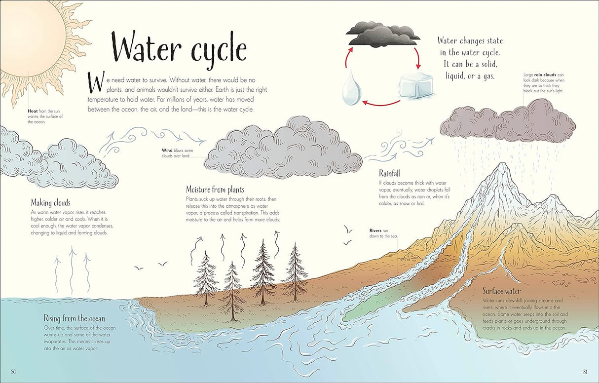 Anthology of Our Extraordinary Earth showing the water cycle with clouds, rain, rivers, and mountains in a friendly illustrated style for kids.