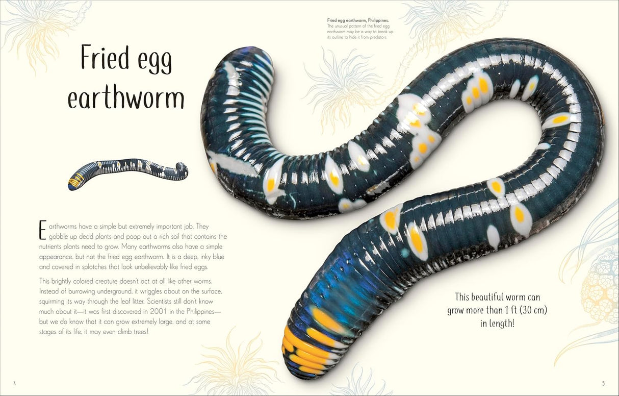 Close-up image of a brightly colored fried egg earthworm illustration from a children's bug anthology book page.