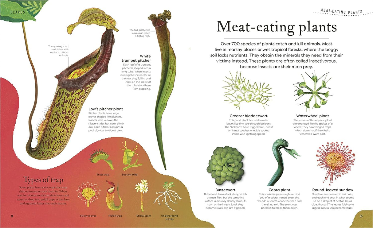 Secret World of Plants book page showing illustrations and descriptions of various meat-eating plants and types of traps.