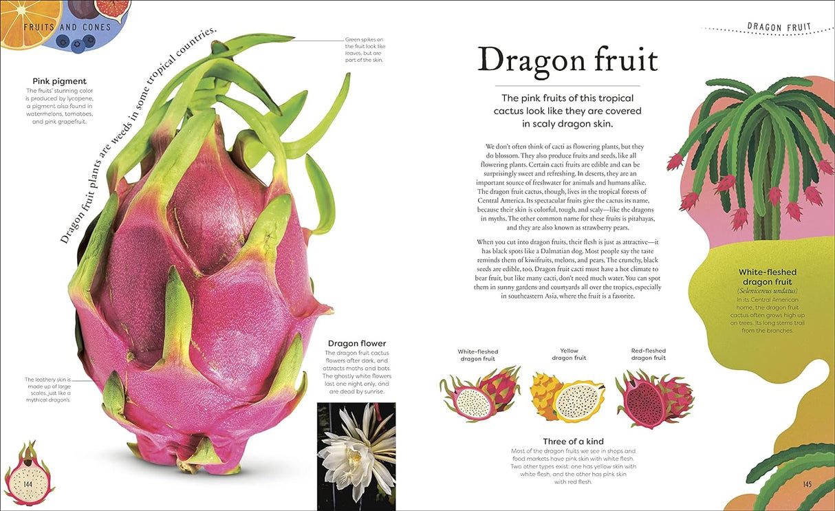Secret World of Plants book page featuring detailed dragon fruit illustration and information for kids.