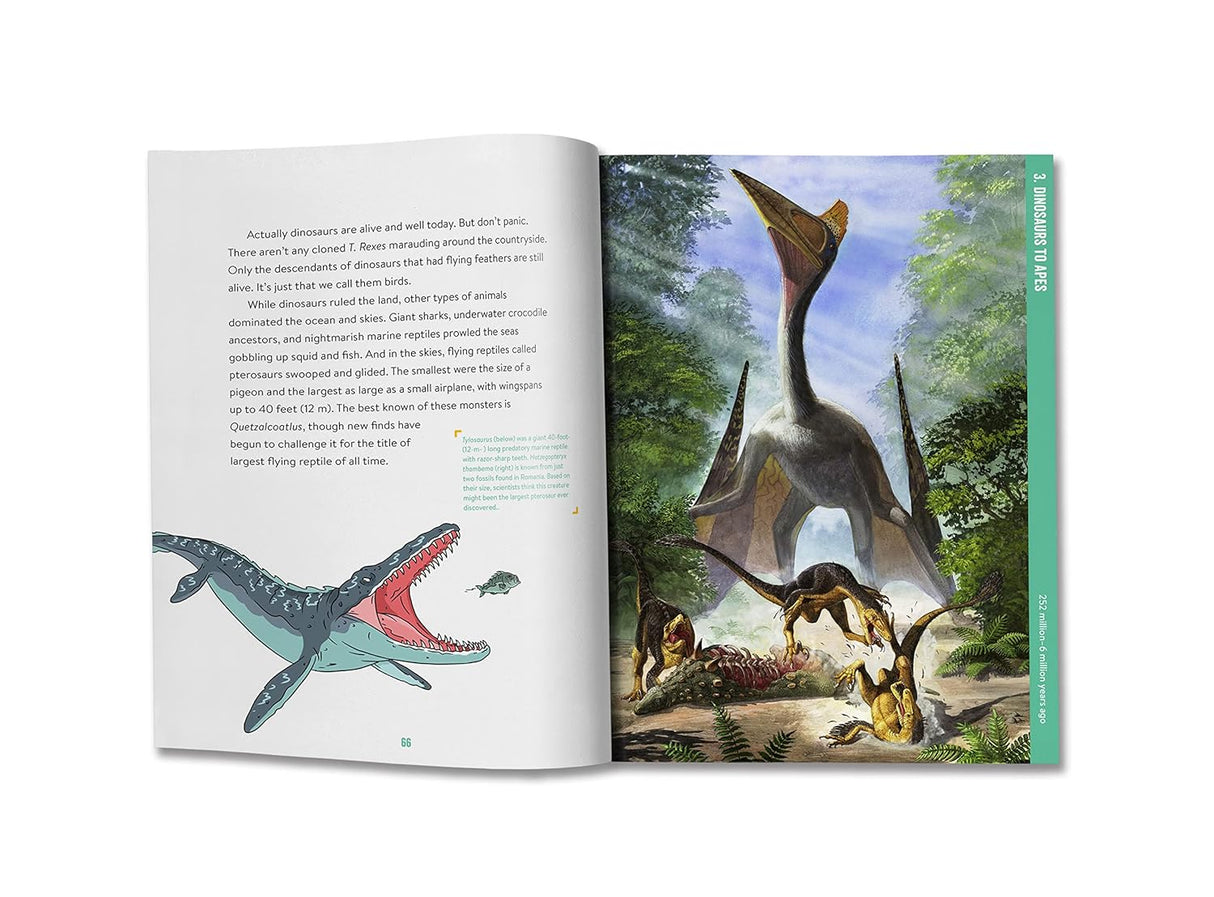 Absolutely Everything! New Edition book open to colorful dinosaur illustrations and educational text about prehistoric life.