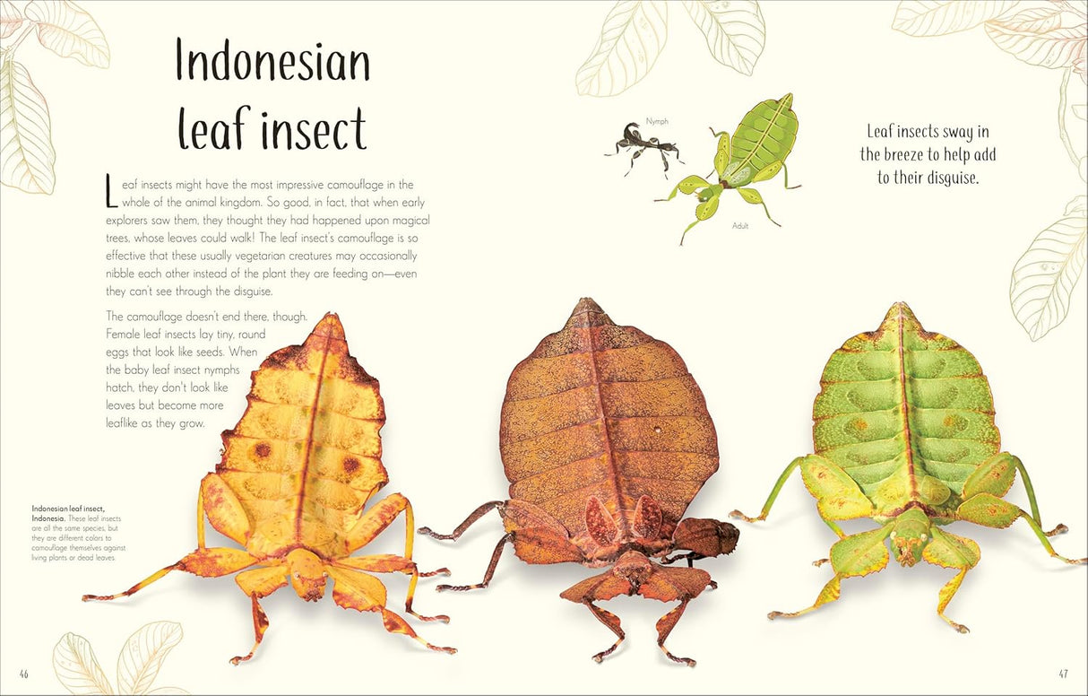 Open book spread showing colorful Indonesian leaf insects with detailed descriptions and illustrations for young readers.