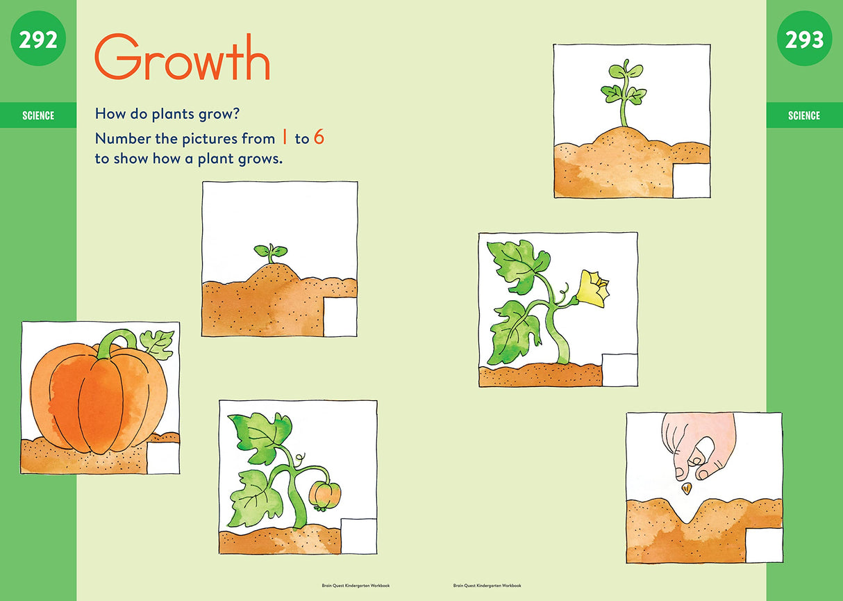 Brain Quest Workbook Kindergarten page showing a plant growth activity with step-by-step illustrations.