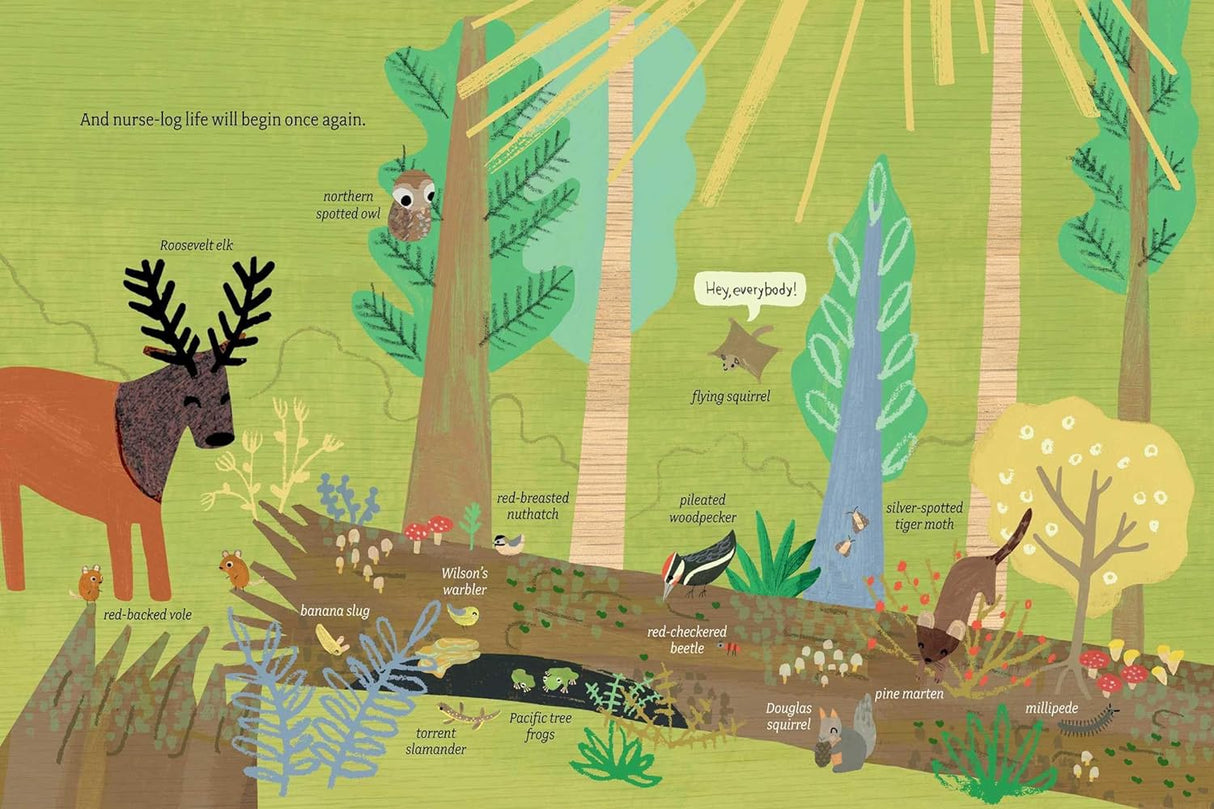 Log Life book illustration showing a vibrant forest scene with animals and a nurse log ecosystem under sunlight.