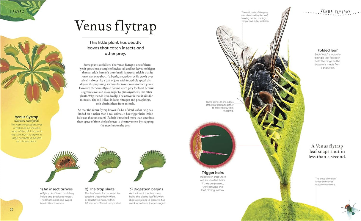Secret World of Plants showing detailed illustrations and facts about the Venus flytrap's trapping mechanism.