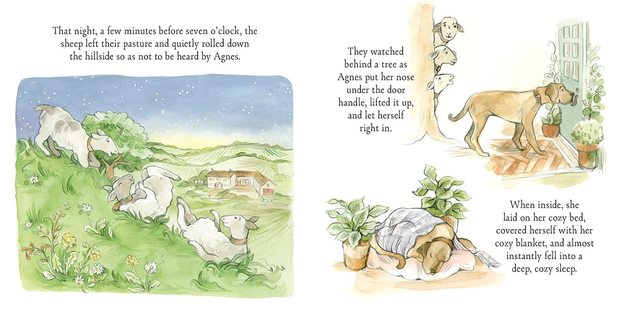 Agnes and the Sheep shows a gentle Great Dane watching over escaping sheep with charming illustrations from the storybook.