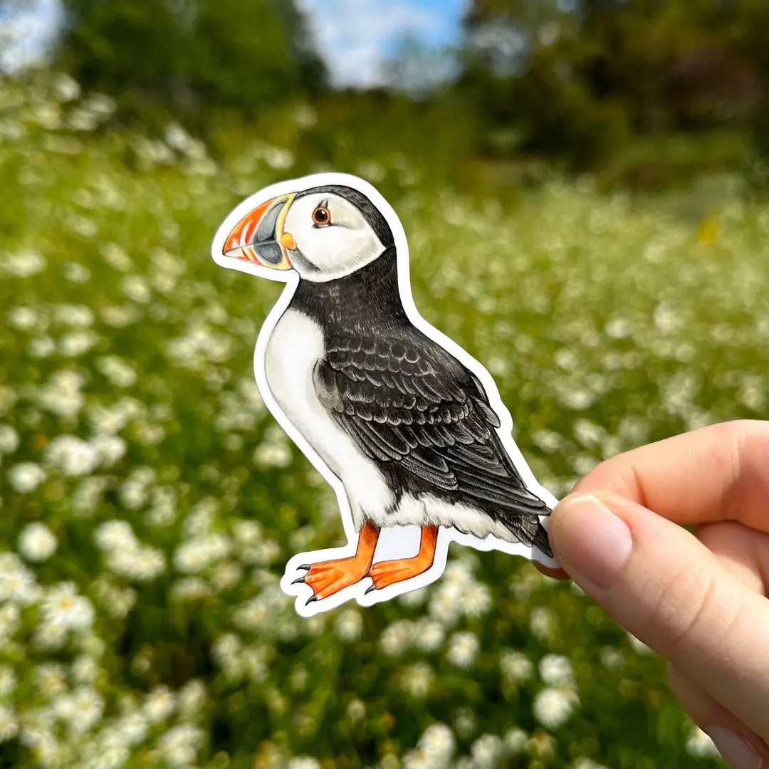 Hand holding Atlantic Puffin Sticker die-cut vinyl with detailed puffin design and outdoor floral background.