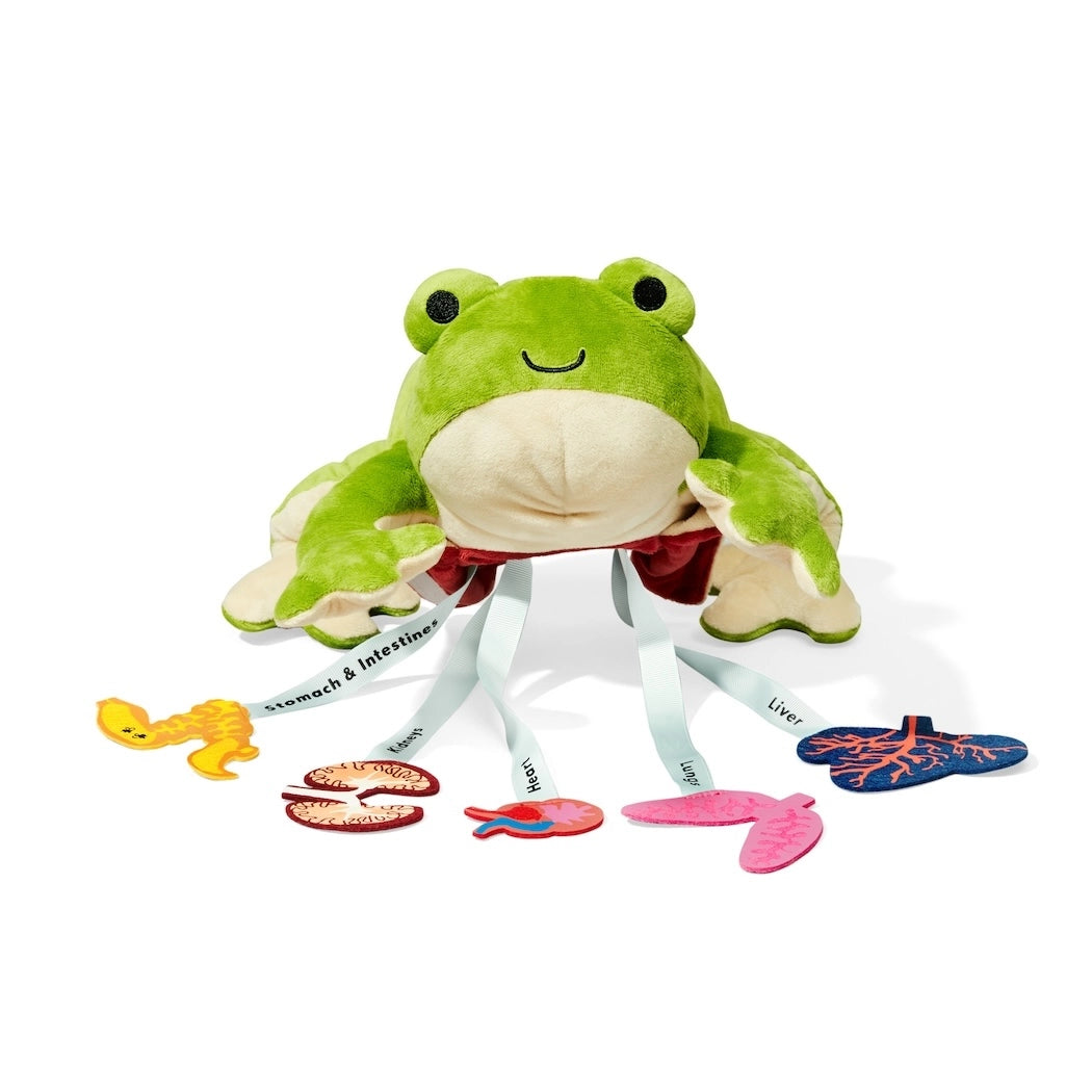 Froggie Dissection Lab