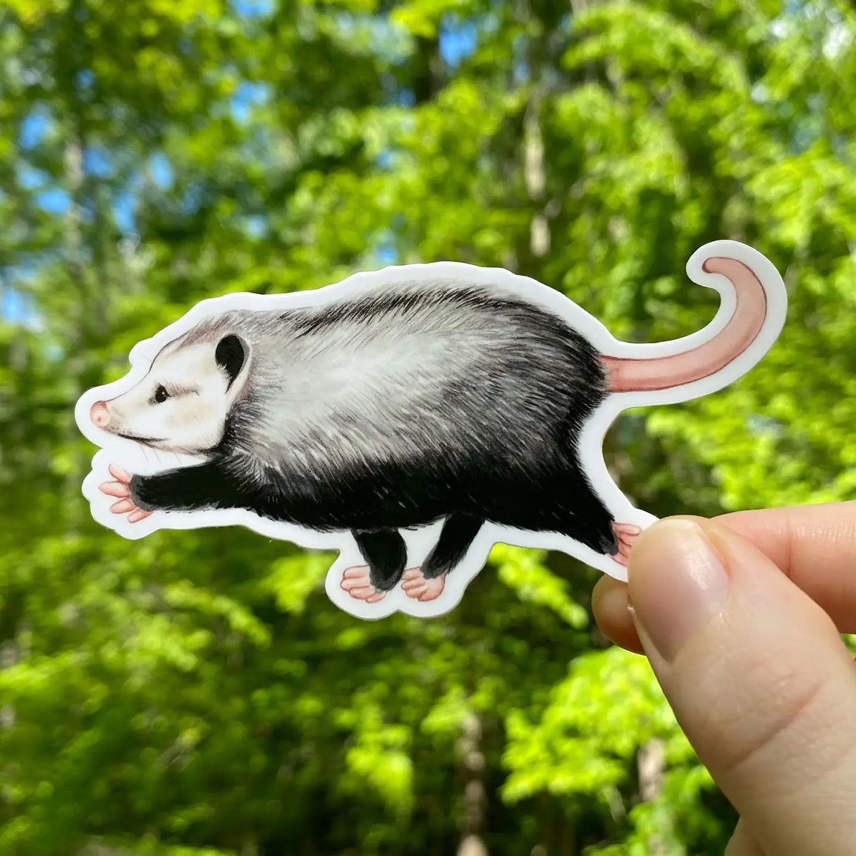 Raz the Opossum Sticker