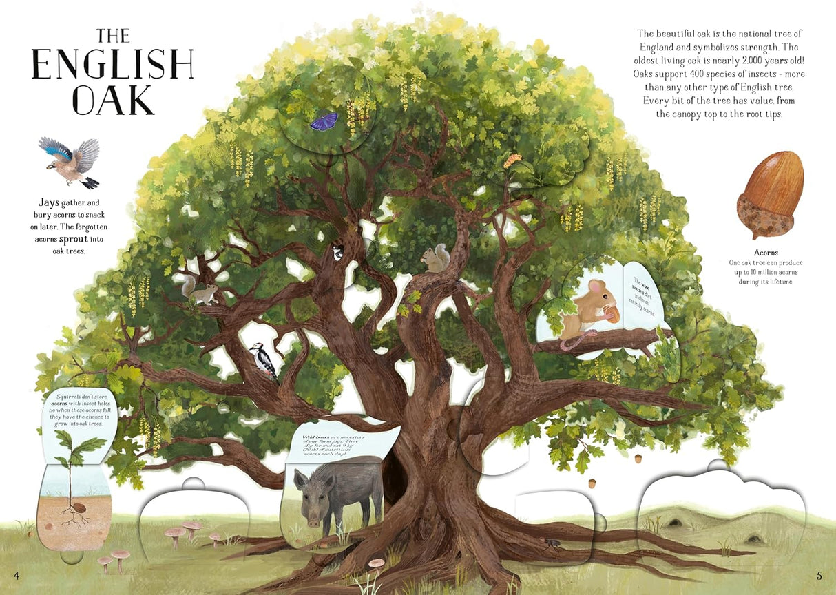 Tree of Life