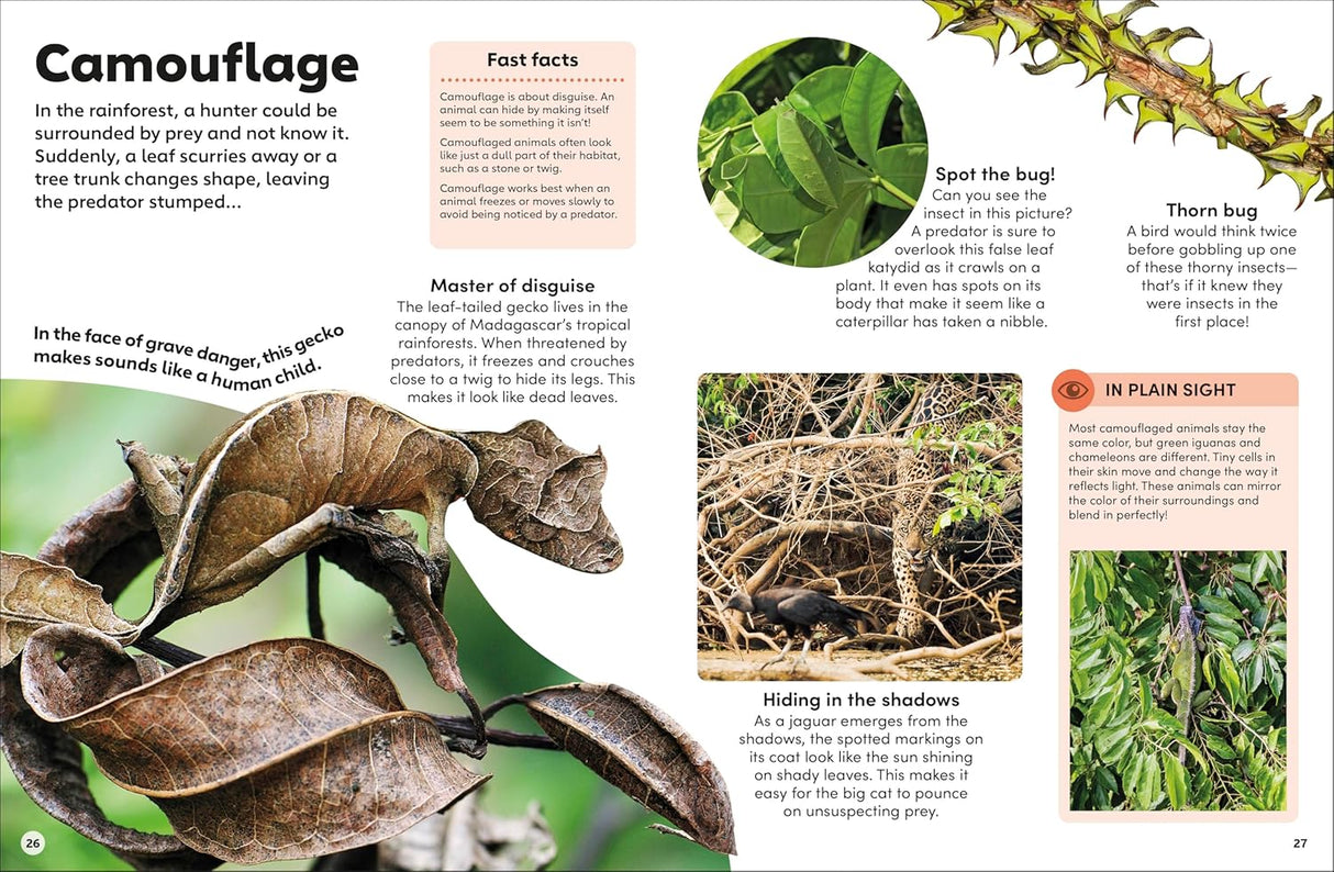 Open book showing information and images about camouflage animals blending into rainforest leaves and branches.
