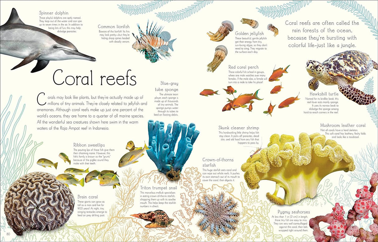Anthology of Aquatic Life showcasing detailed illustrations and facts about coral reefs and diverse sea creatures.