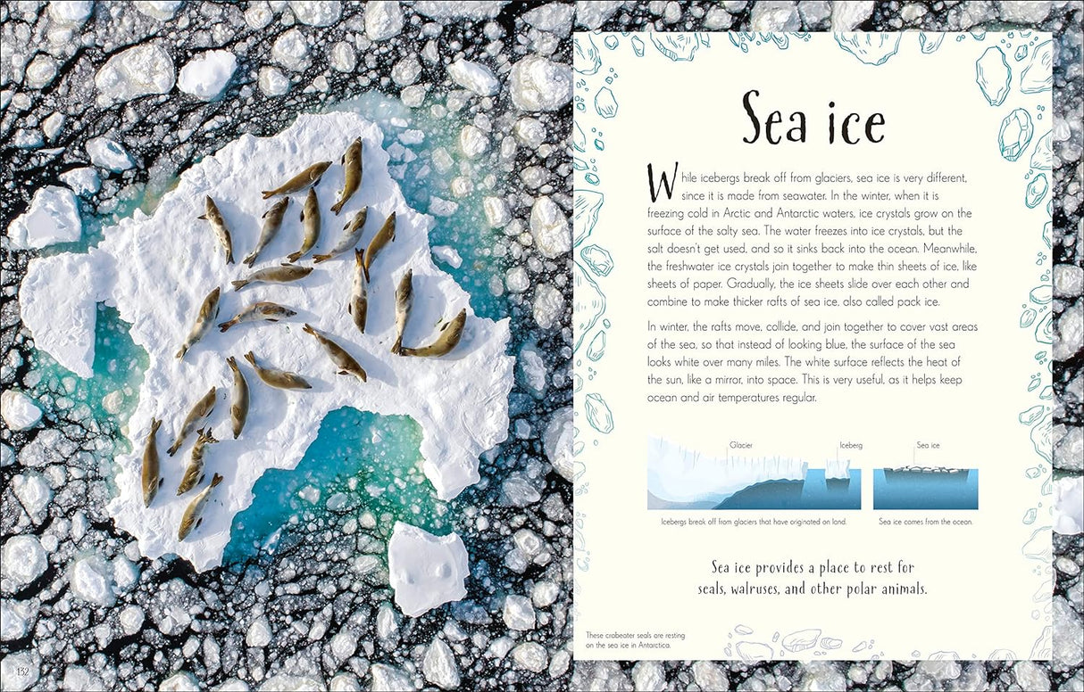 Anthology of Our Extraordinary Earth showing sea ice with seals resting on ice floes and educational text about glaciers.