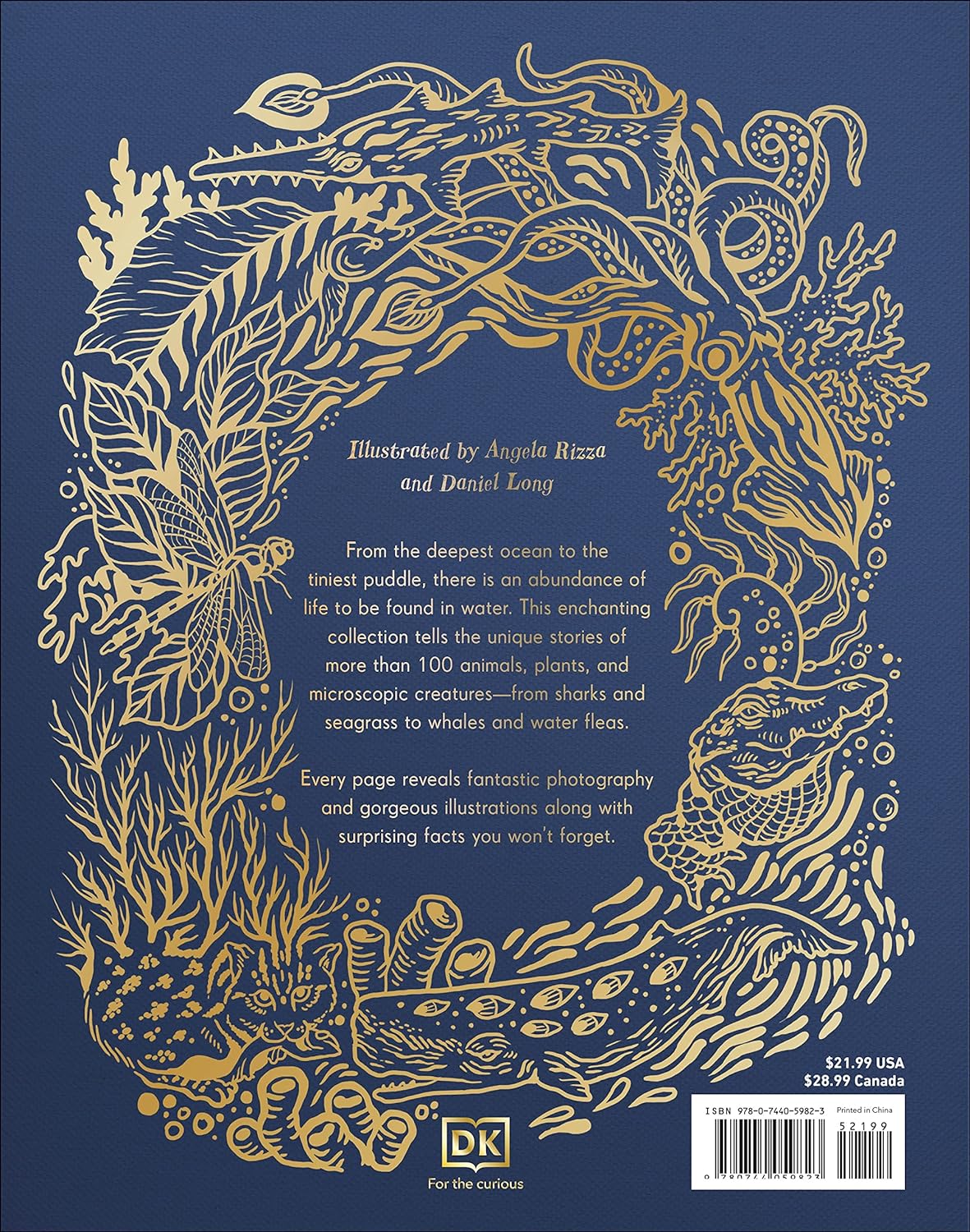 Back cover of Anthology of Aquatic Life with gold foil aquatic illustrations and descriptive text on ocean creatures.