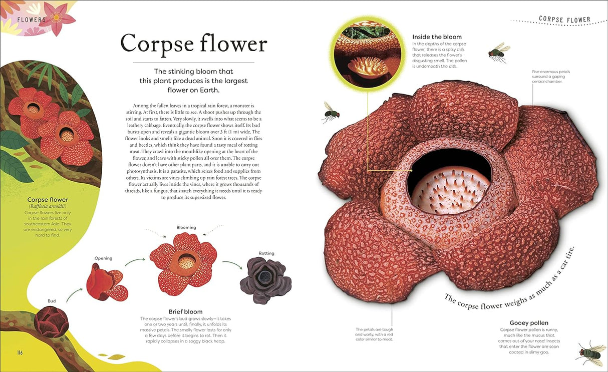 Secret World of Plants book page showing detailed illustrations and facts about the corpse flower’s bloom and pollen.