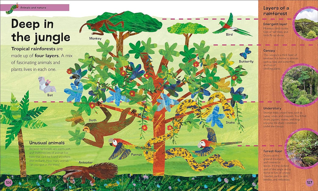 Very Hungry Caterpillar's Very First Encyclopedia page illustrating jungle layers and animals with colorful drawings and simple labels.