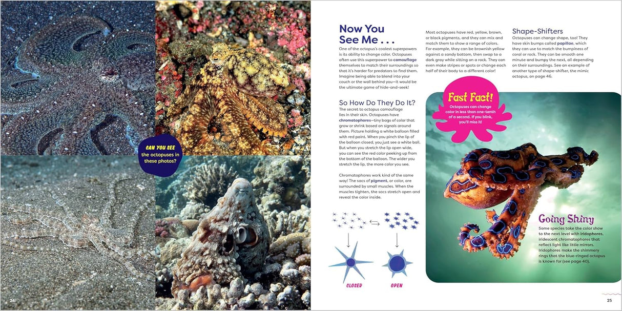 The Incredible Octopus book pages showing octopus camouflage, biology facts, and colorful species for kids aged 7 and up.