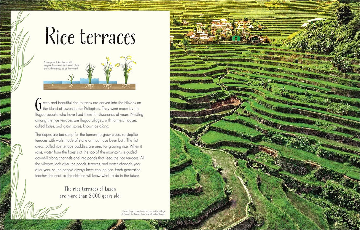 Anthology of Our Extraordinary Earth showing lush green rice terraces on terraced hillside with village houses nearby.