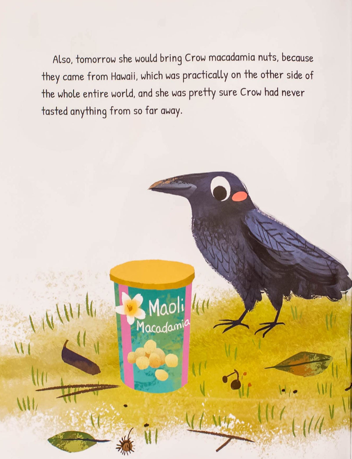 Illustration from My Little Thief showing a crow near a container of Maoli macadamia nuts on grass.