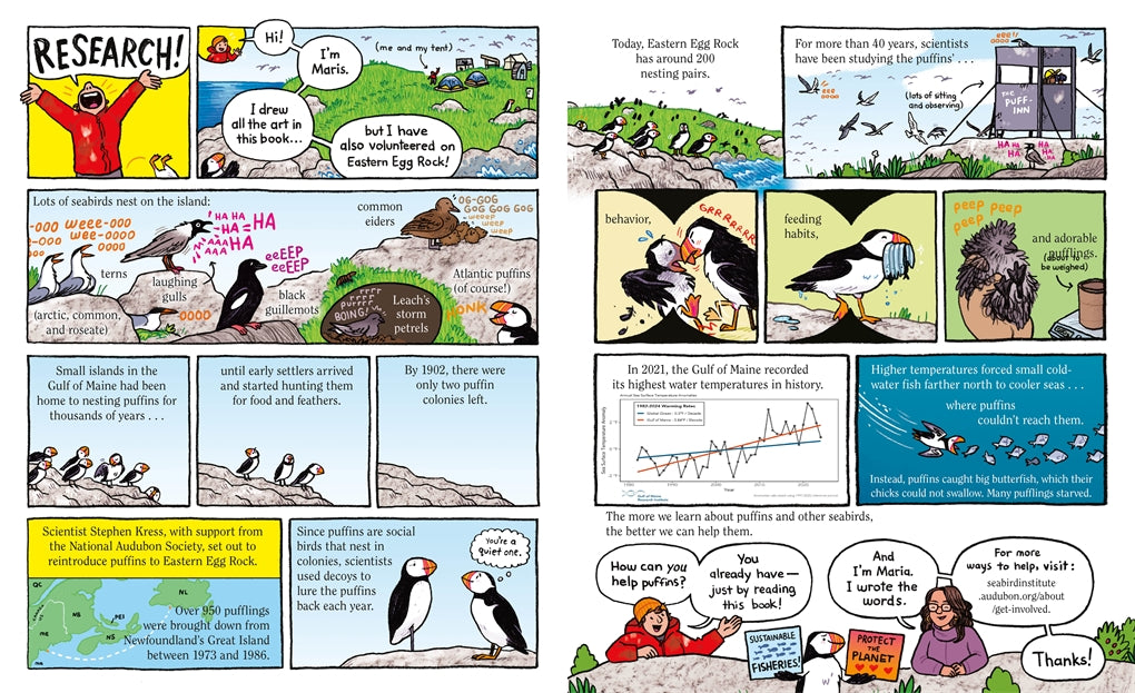 Puffins!
