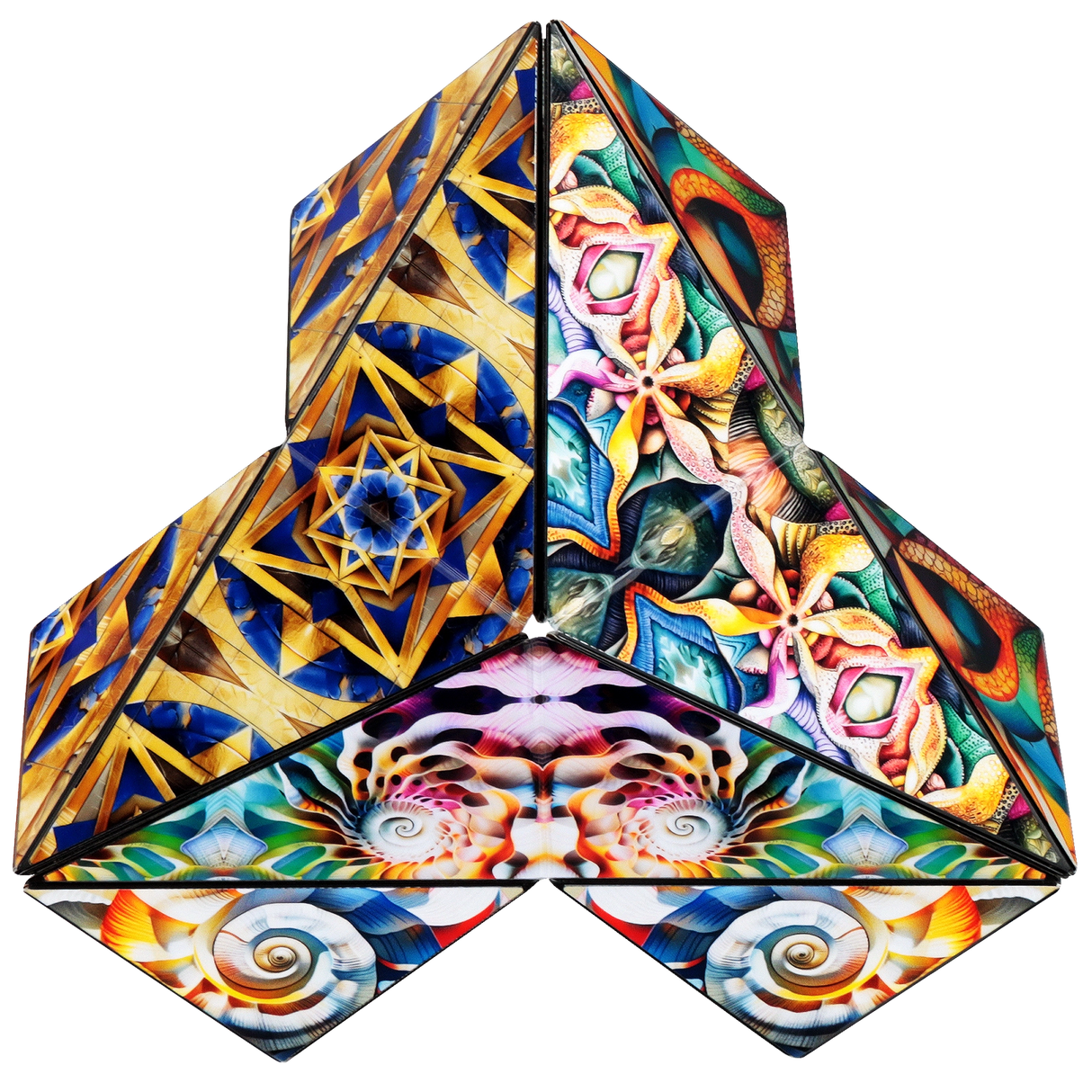 Shashibo ICOSA | Atlantis