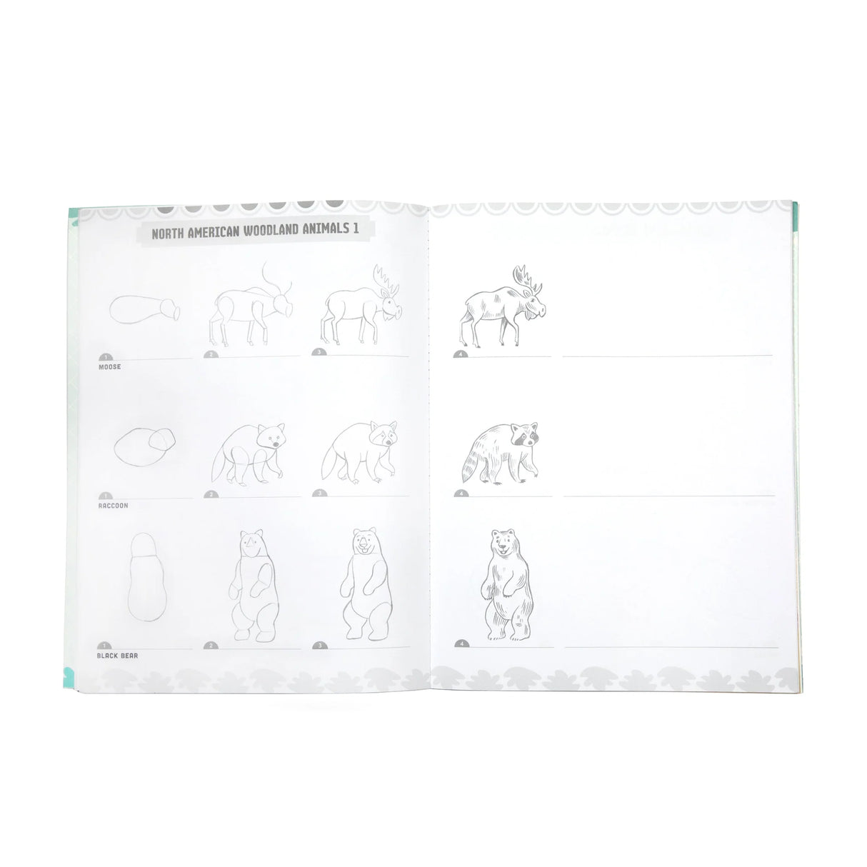 Learn to Draw | Wild Animals book open to step-by-step instructions for drawing woodland animals like moose and bears.