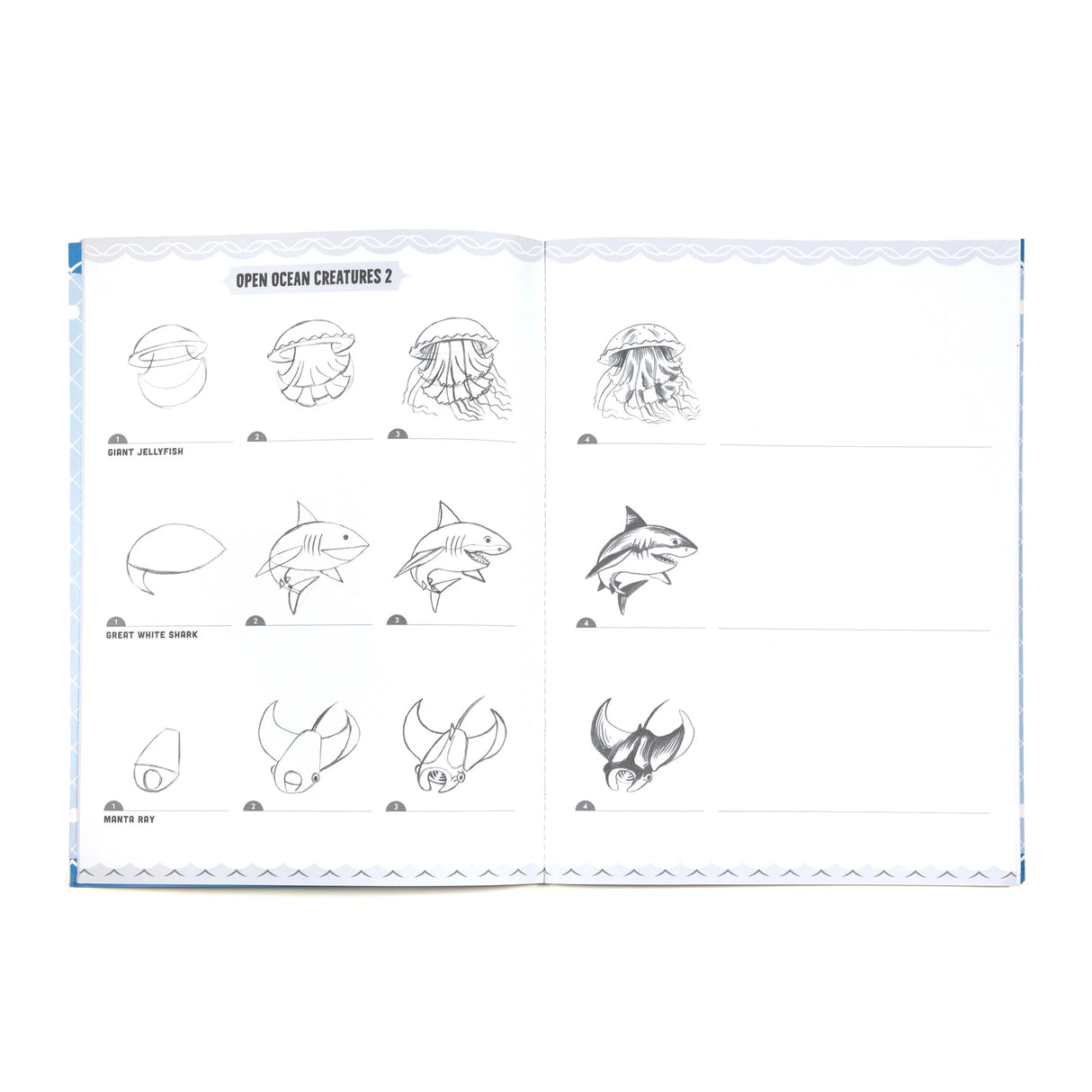 Learn to Draw | Under the Sea showing step-by-step sketches of open ocean creatures like jellyfish and sharks.
