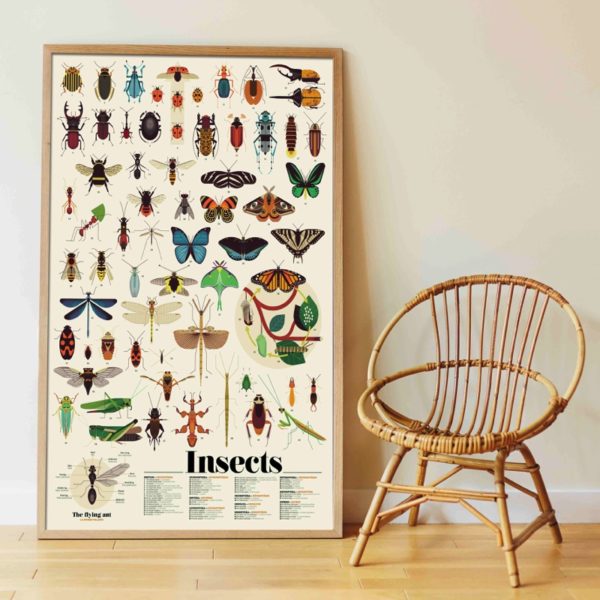 Poppik Discovery Poster Insects with colorful insect illustrations and stickers for educational fun and decoration.