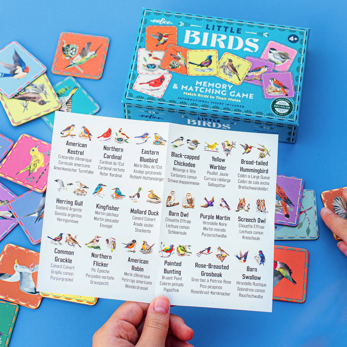 Birds Little Matching Game with colorful bird cards and an illustrated bird guide for a fun memory activity
