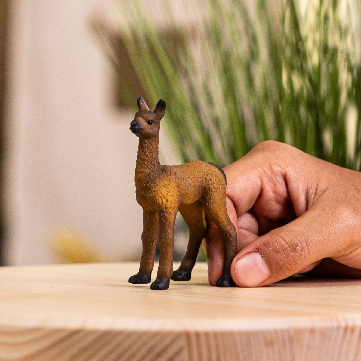 Llama Foal figurine with fluffy brown fur, dark brown neck, black snout and feet, held gently on wooden surface.
