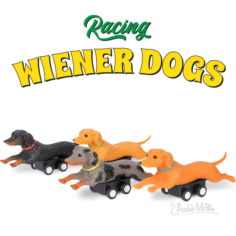 Racing Wiener Dog