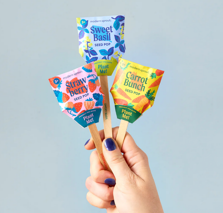 Hand holding three Garden Seed Pop sticks with Sweet Basil, Strawberry, and Carrot Bunch seed packets for planting.