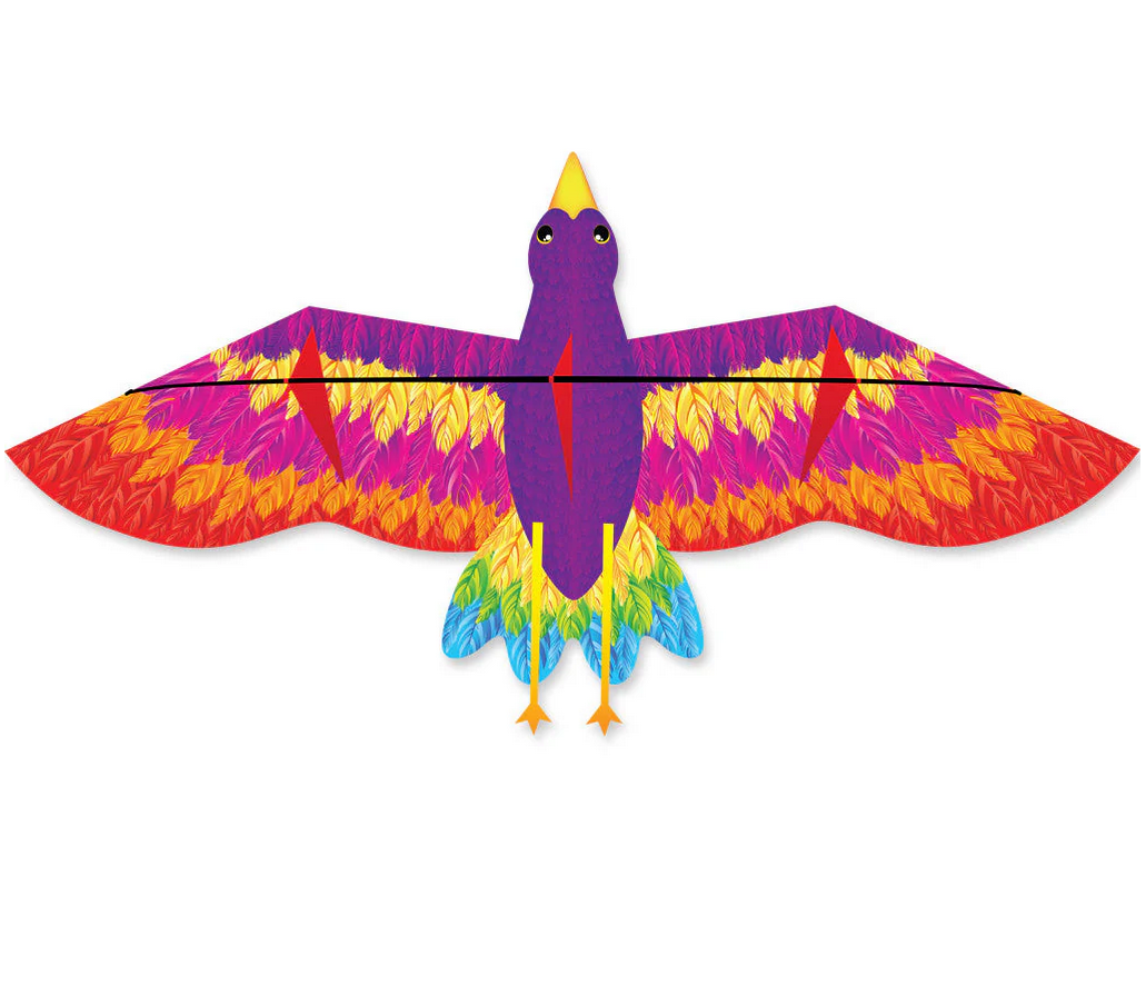 Rainbow Bird Kite