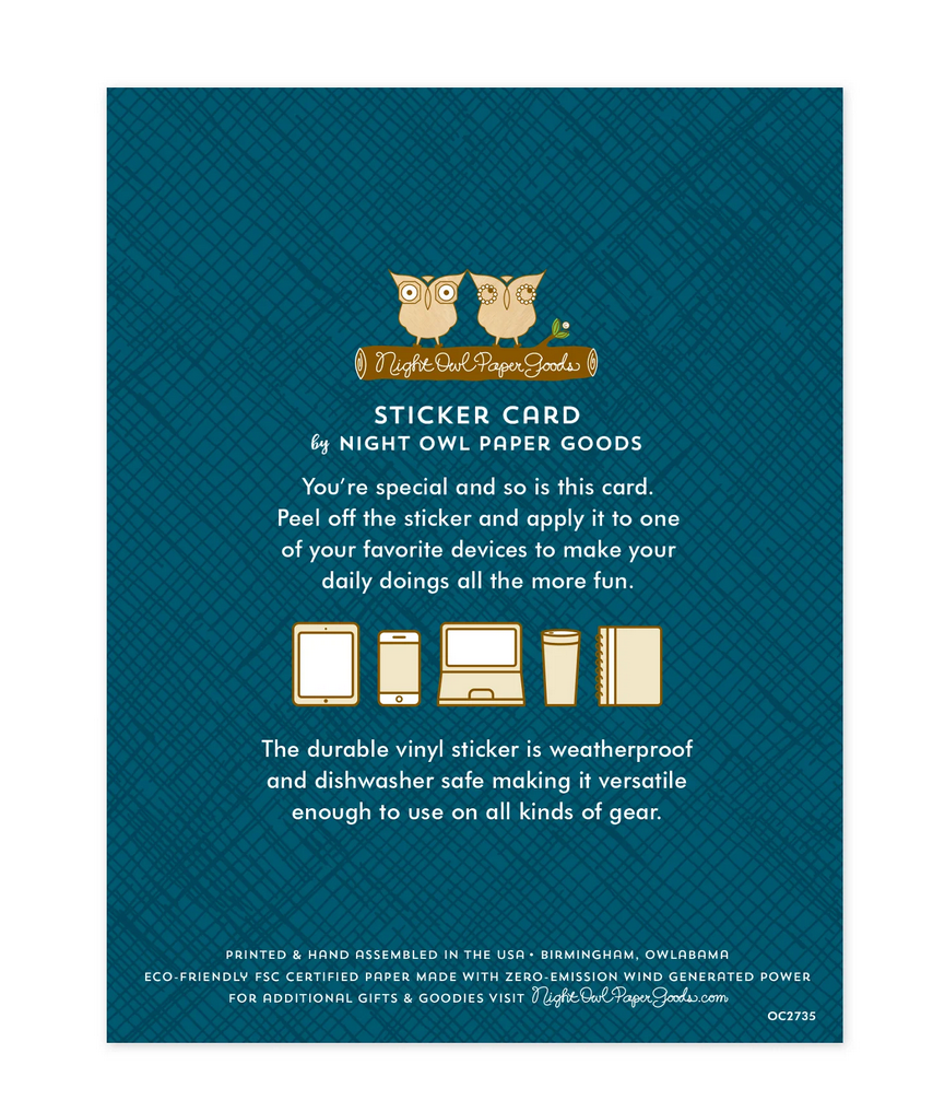 Go Wild Raccoon Sticker Birthday Card packaging showing product details and usage instructions on a blue background.