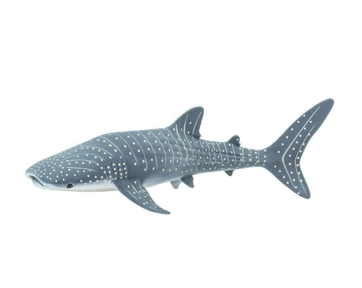 Whale Shark model with gray-blue skin, white spots, and white underside, measuring 7.25 inches long, BPA free.