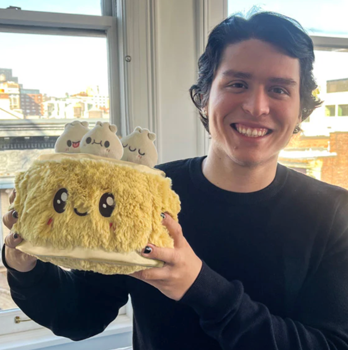 Smiling person holding a plush Dim Sum Mini toy with three cute dumplings in a bright room by the window.