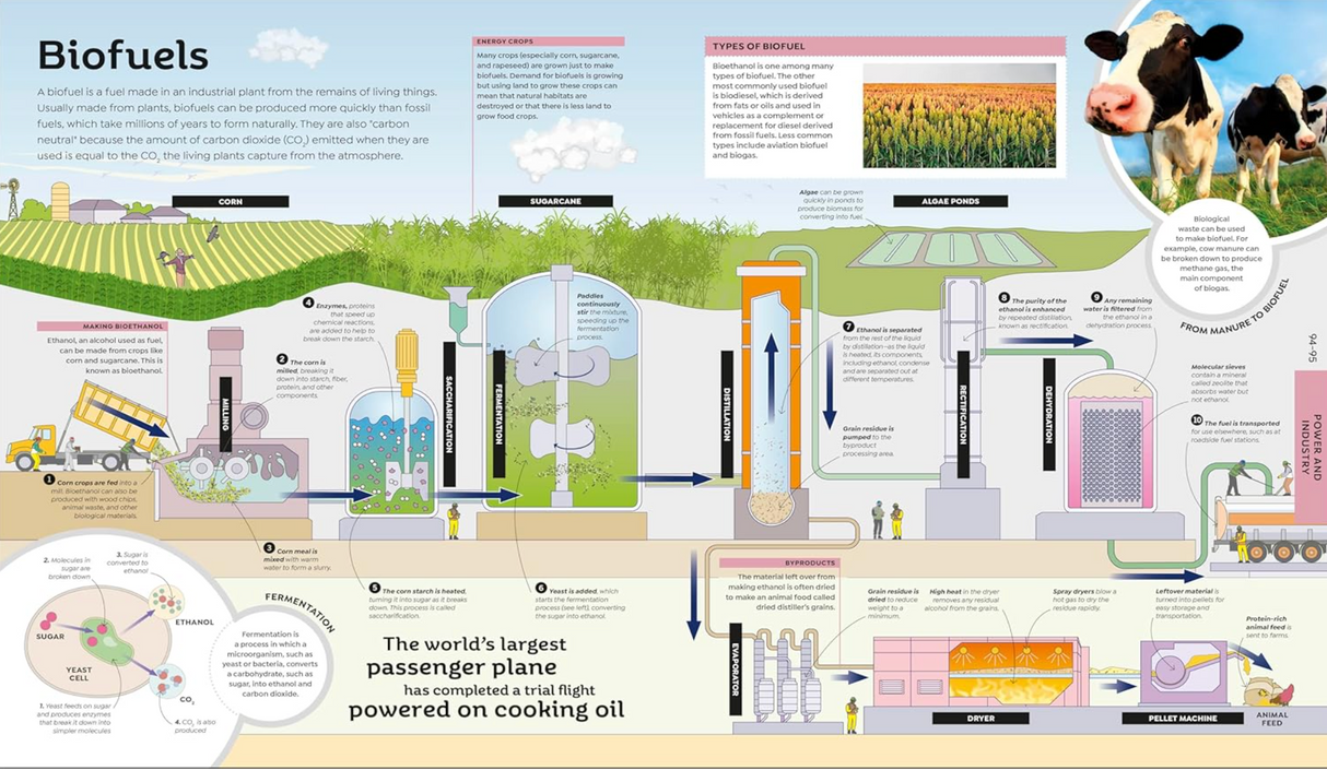 How Technology Works illustration explaining biofuels production from plants to fuel in detail for kids aged 9-12.