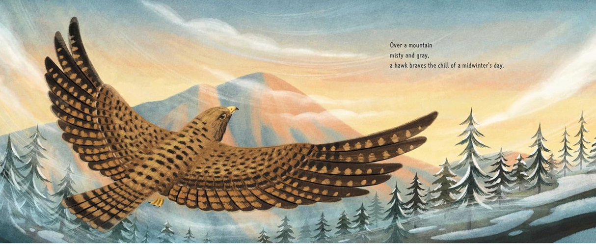 Cold book illustration of a hawk flying over snowy pine trees and mountains at dawn, showcasing cold climate wildlife.