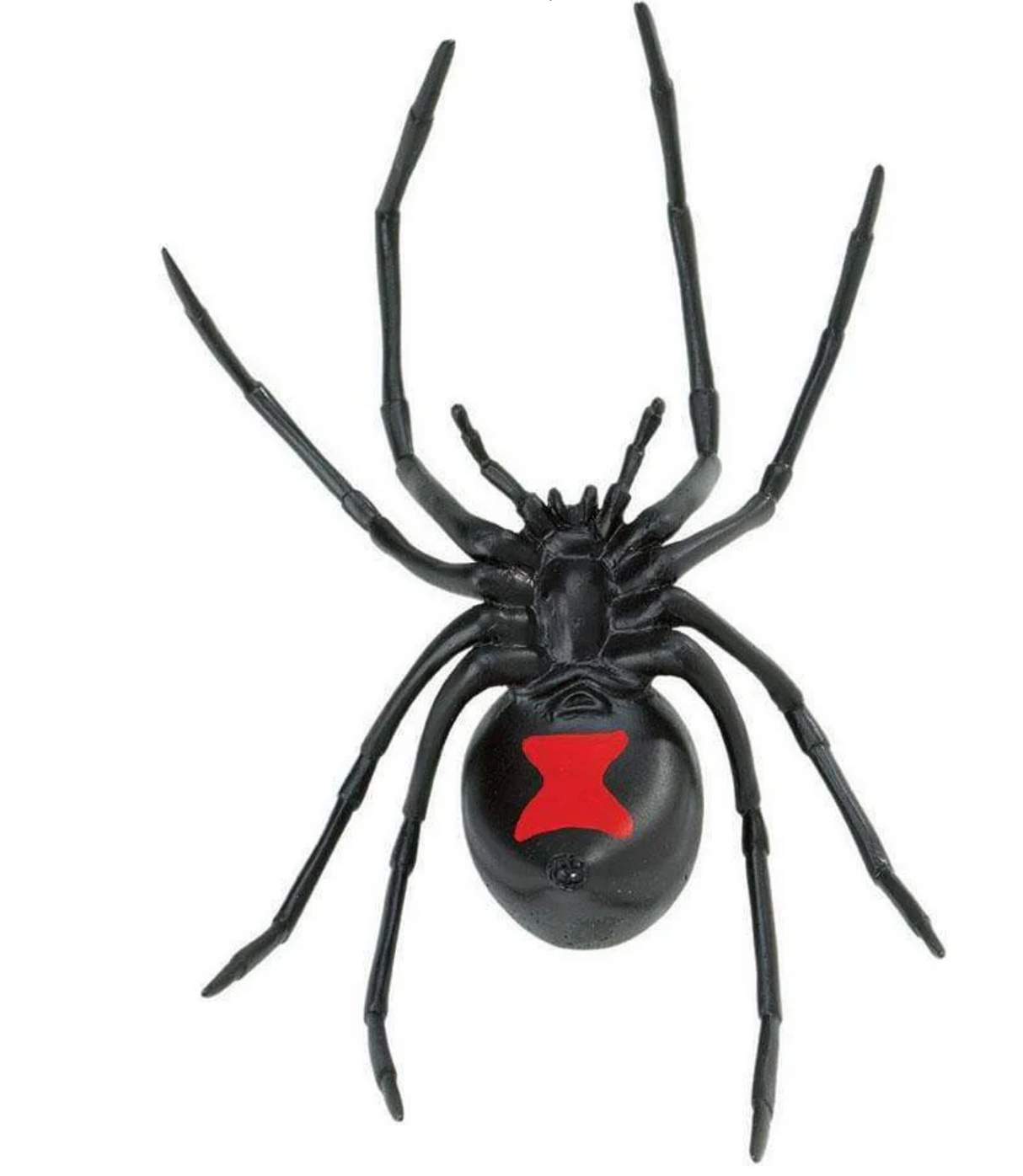 Black Widow Spider model with black body and red hourglass marking, detailed and non-toxic collectible figurine.