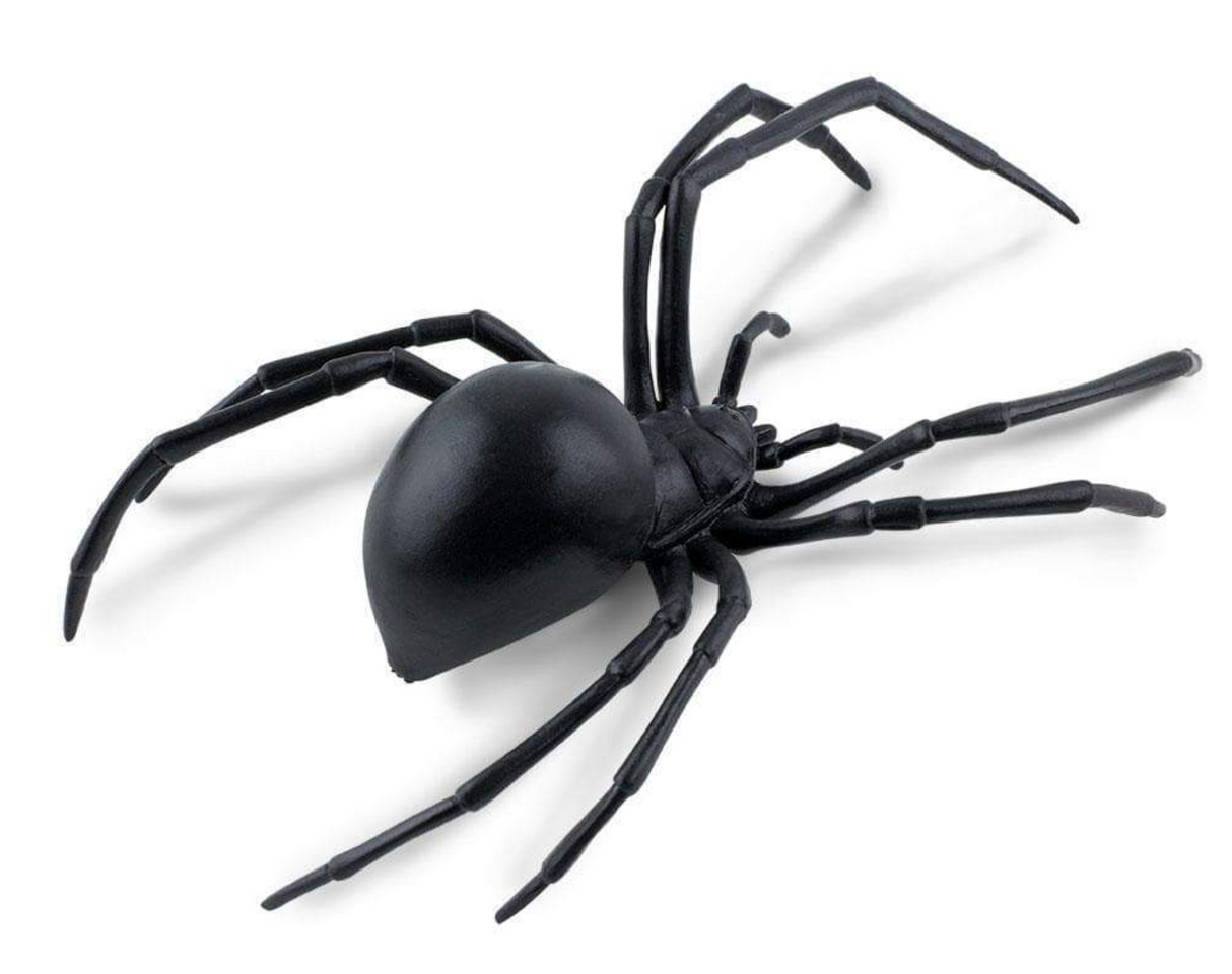 Black Widow Spider model with black body and long legs, designed as a safe, detailed, 7-inch collectible figurine.