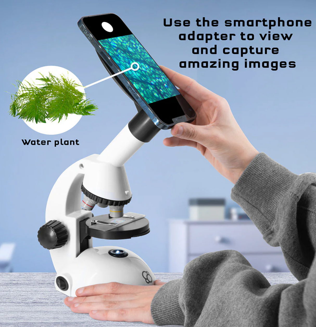 Microscope with smartphone adapter capturing magnified water plant images for student exploration and learning at home.