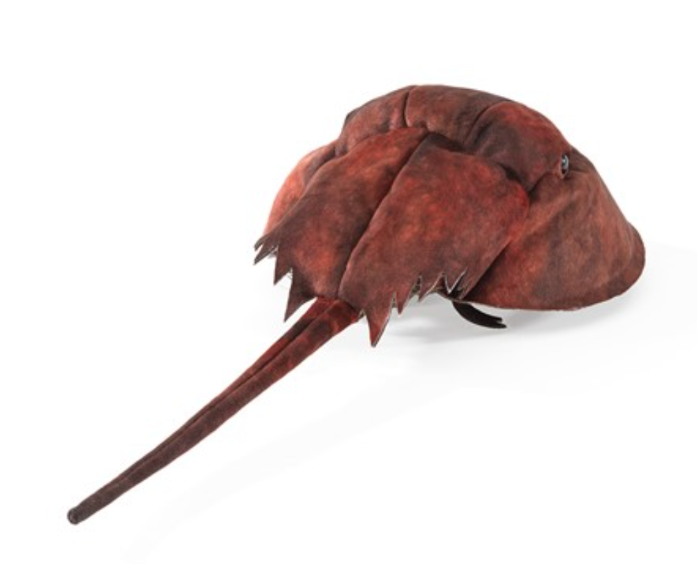 Horseshoe Crab Puppet made of suede cloth with pine needle fringe and stiff tail, a 2-finger marine life glove puppet.