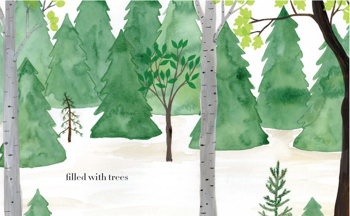 Watercolor illustration of a lush forest with various trees in the children's book Forest by Christie Matheson.