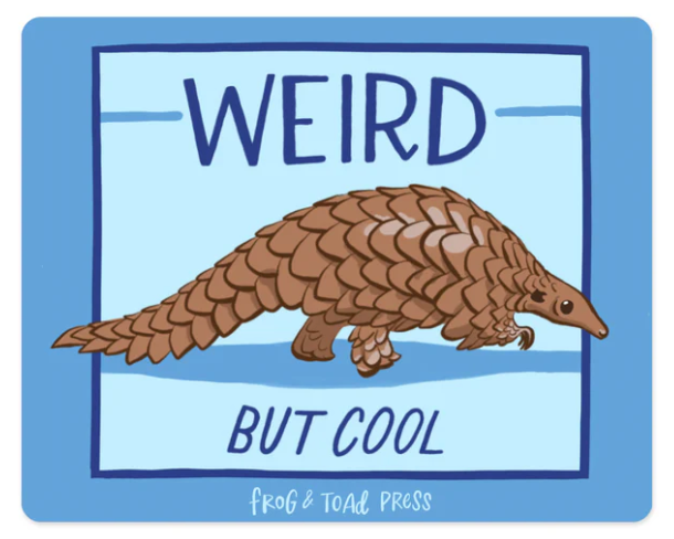 Weird But Cool Pangolin Sticker featuring a brown pangolin with scales on a blue background, UV and weather-resistant.