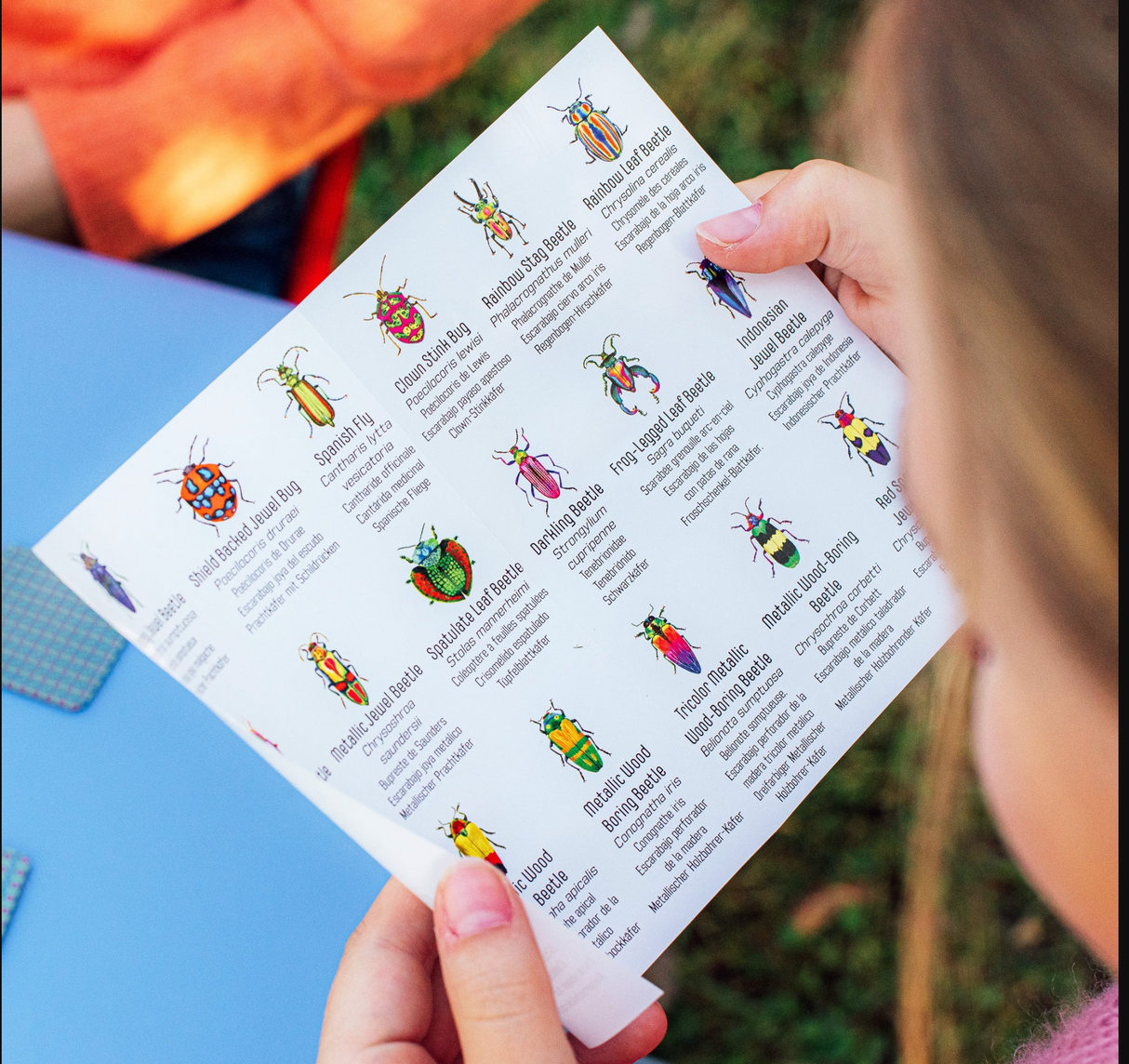 Beetles Little Memory & Matching Game color reference insert showing jewel-like beetle illustrations and scientific names.