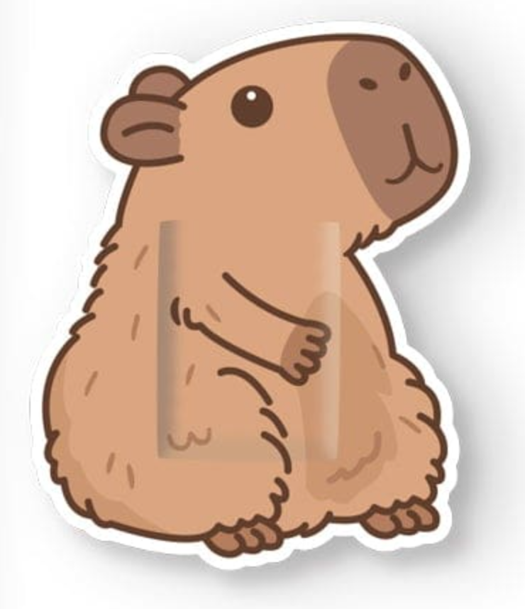 Cute cartoon-style capybara illustration on a protective Capybara Bandages packaging design.