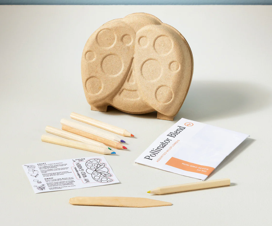 Curious Critters Ladybug Activity Kit with paper pulp ladybug, colored pencils, wooden marker, and wildflower seed packet.
