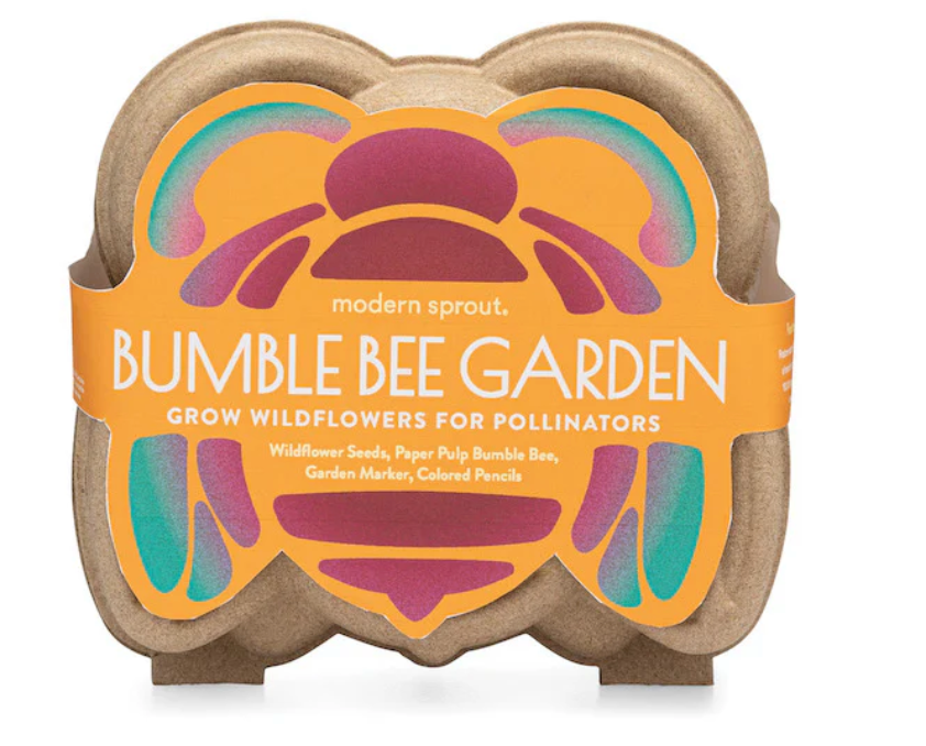 Curious Critters Bee Activity Kit with paper pulp bumble bee, wildflower seeds, and garden marker in eco-friendly packaging.